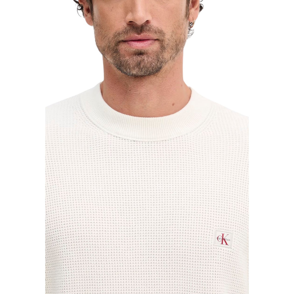 Calvin Klein Jeans Pullover Herren