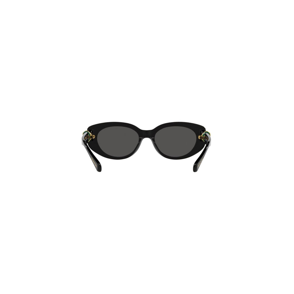 Swarovski Sonnenbrille Damen