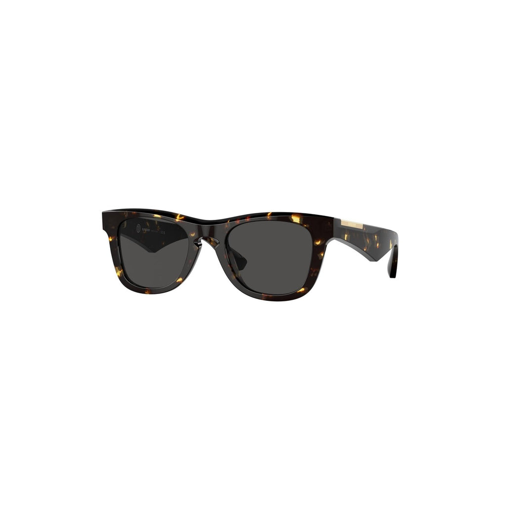 Burberry Sonnenbrille Herren